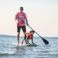 Adam and Yoda on paddleboard