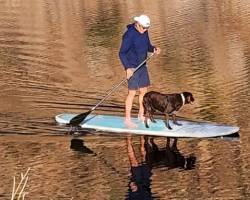 Adam and Yoda Paddle boarding Adam and Yoda Paddle boarding