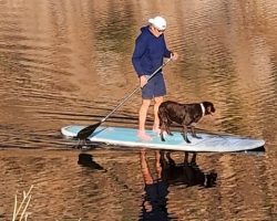 Adam and Yoda Paddle boarding Adam and Yoda Paddle boarding