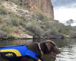 Yoda taking a boat ride Yoda taking a boat ride