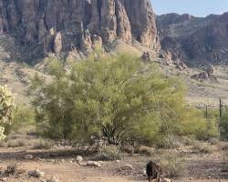 Yoda at Superstition Mountain Yoda at Superstition Mountain